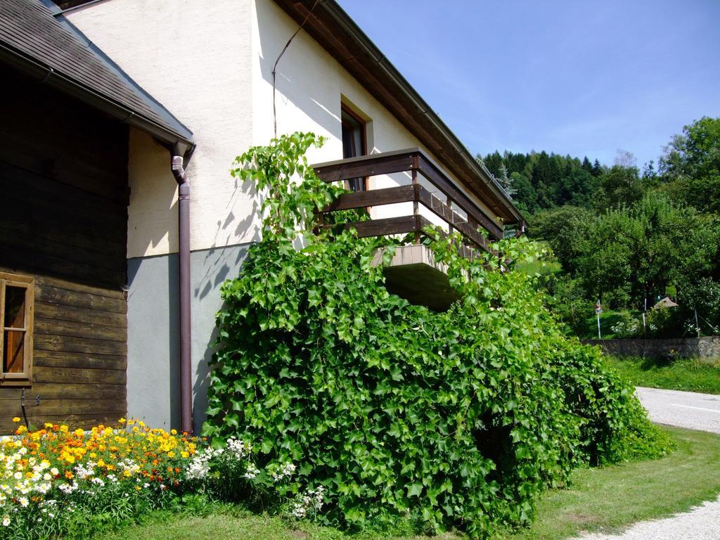 Ferienwohnungen Bauernhof Schilcher Sankt Stefan im Lavanttal Exterior foto